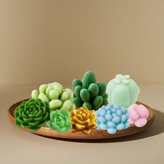 Combo 8 Khuon Silicon Sen Đá 340k