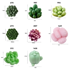 Combo 8 Khuon Silicon Sen Đá 340k