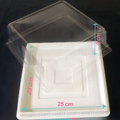 Hộp Nhựa - Vuông H121 - 24x24cm Cao 9cm