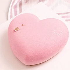 Khuôn Silicon - Vĩ Tim 8C