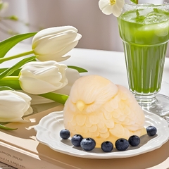 Khuôn Silicon - Động Vật - Chim 4d 10.4cm