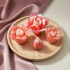 Khuôn Silicon - Hoa Cẩm Chướng Set 4