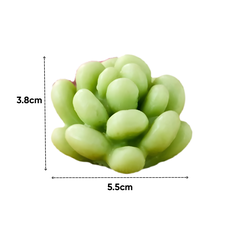 Combo 8 Khuon Silicon Sen Đá 340k