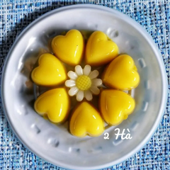 Khay Đá Nhựa CH - KD05 - TH 10c - Mai Hồng Cúc 5 Mẫu