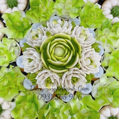 Khuôn Silicon - Hoa Hồng Lai - Hông Trà Chà Bá SL150K