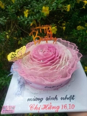 Khuôn Silicon - Hoa Hồng - Tròn Hồng 18cm 450K SALE > 350K