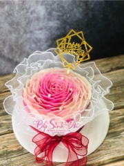 Khuôn Silicon - Hoa Hồng - Tròn Hồng 18cm 450K SALE > 350K
