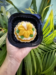 Khuôn Nhựa RCNL - NL40 - Bông Ly