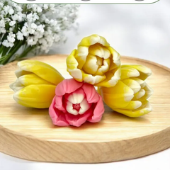 Khuôn Silicon - Tulip Mới Hoa 5 Cm