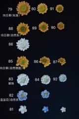 Khuôn Silicon - Hoa Hàn Quốc -Hướng Dương H90
