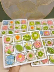 Hộp Nhựa Đế Trắng 12 Ngăn - 12 Ô