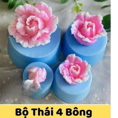 Khuôn Silicon - Hoa Cẩm Chướng Set 4