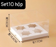 Hộp Nhựa Mika - Cup Cake Gấp - 4 Bánh