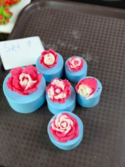 [Thanh Lý] - Combo Silicon Thanh Lý