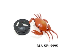 9995 HỘP CUA ĐIỀU KHIỂN KHÔNG SẠC (THÚ ĐK)