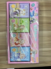 XQ1162-1163-1164 HỘP 40C THAY ĐỒ CÔNG CHÚA