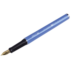 Bút máy Thiên Long Điểm 10 TP-FTC03 ngòi êm(10)