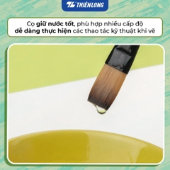 Set 5 cây cọ vẽ Thiên Long