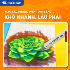Bút lông màu mỹ thuật (lông dầu) Thiên Long Colokit AM-C002 art marker acrylic 2 đầu