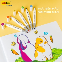 Bút lông màu mỹ thuật (lông dầu) Thiên Long Colokit AM-C002 art marker acrylic 2 đầu