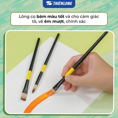 Set 5 cây cọ vẽ Thiên Long