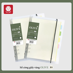 Sổ còng A5 200tr 100gsm Hải Tiến Olive 8885 kẻ caro (giấy trắng ngà) (28) - A5 6 còng sắt, phân trang