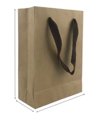 Túi Kraft trơn đứng size M Linh Lan TDK-M 23x18x10