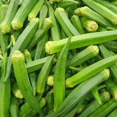 Hạt giống đậu bắp