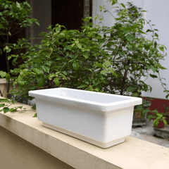 Khay trồng rau, trồng hoa hình chữ nhật
