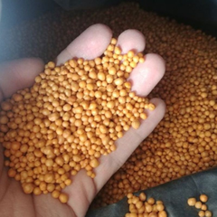 Phân tan chậm (100g)