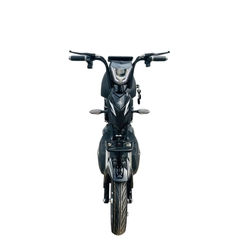 Xe đạp điện Hugo Jerry 20A màu đen tem bạc