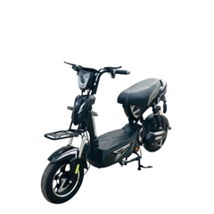 Xe đạp điện Hugo Jerry 20A màu đen tem bạc