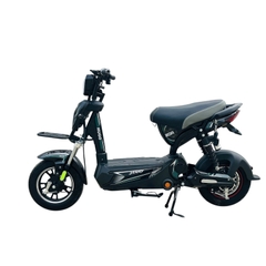 Xe đạp điện Hugo Jerry 20A màu đen tem xanh rêu