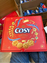 Bánh quy bơ thập cẩm socola 315