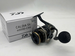 22 CALDIA SW 4000D-CXH (USED)