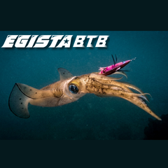 EGISTA BTB