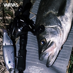 VARIVAS SWIMBAIT PE SMP X8 100m PE DARK GRAY