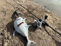 DEPS MS CRAW