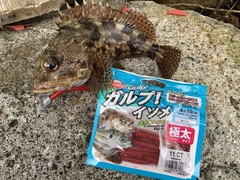 BERKLEY Gulp Scented Soft Bait Worm Lure SW ISOME GOKUTOBO