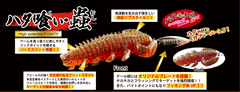 RUDIE'S TAKUI MUSHI