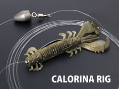 DEPS MS CRAW