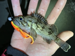 BERKLEY GULP SALWATER FAT HAWG