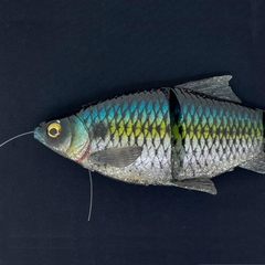 SAVAGE GEAR 3D LINE THRU GIZZARD