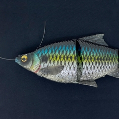 SAVAGE GEAR 3D LINE THRU GIZZARD