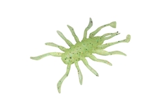 JACKALL RV-BUG 1.5inch
