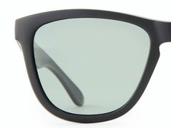 DAIWA DN-8016 TRIACETATE POLARIZED GLASSES