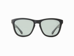 DAIWA DN-8016 TRIACETATE POLARIZED GLASSES