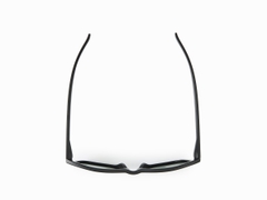 DAIWA DN-8016 TRIACETATE POLARIZED GLASSES