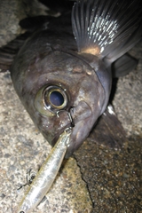 DECOY TREBLE HOOKS Y-S25