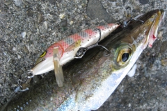 DECOY TREBLE HOOKS Y-S25